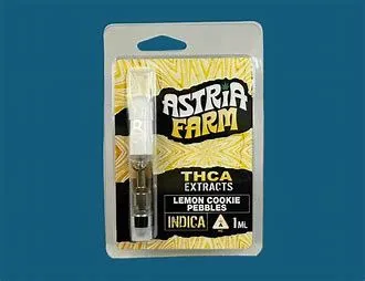 CBD Basics: What to Know First